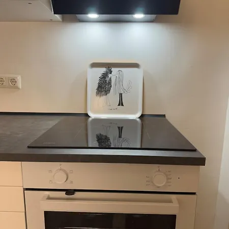 Apartmán Charming Ranke 11 Štýrský Hradec